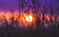 ?生活在別處：感受大西洋海岸的葡國風情