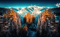 科學(xué)家發(fā)現(xiàn)識別銀河系中的“外來移民”新線索
