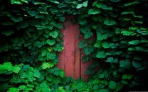 內(nèi)馬爾回應(yīng)抨擊:帶著兄弟們一起隔離 就在我家里