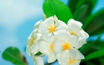 內(nèi)馬爾回應(yīng)抨擊:帶著兄弟們一起隔離 就在我家里
