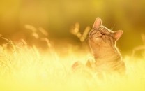 A爆了！周雨彤上海街拍氣場十足