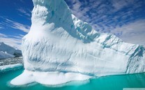 世茂房地產2020年銷售目標3000億元