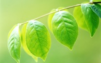 恒大公布上賽季財(cái)政年報(bào) 卡帥呼吁許家印引鋒線外援