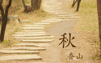 西甲-貝爾丟單刀 小將送點 皇馬大輪換客負墊底隊