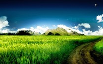 網(wǎng)易發(fā)布2020東京奧運(yùn)內(nèi)容戰(zhàn)略