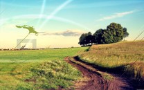 狗被鵝按墻角瘋狂摩擦 可憐模樣笑噴網(wǎng)友