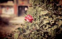 中信證券：“盈利底”深度已明，經濟將延續企穩態勢