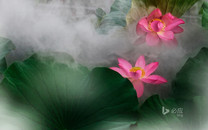 氣血不足如何補血養(yǎng)顏