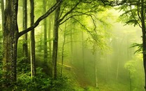 中國原油期貨，在現(xiàn)有國際原油定價體系中處于什么地位？