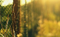 許嵩：唱過人間的那些情愛