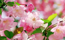 硅谷初創(chuàng)企業(yè)裁員潮已經(jīng)開始！這些領(lǐng)域正遭受重創(chuàng)