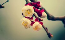 肝病肝癌，是這三種廚房日用品發(fā)霉惹的禍？不要想當(dāng)然