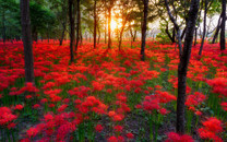 亞馬遜竟用AI監(jiān)控員工：效率低當(dāng)場(chǎng)開除，沒時(shí)間上廁所