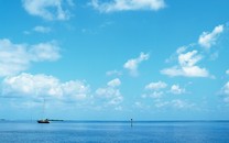 海南假疫苗走私疑云：來自哪里 流向何方