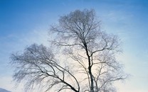 長(zhǎng)篇報(bào)告文學(xué)《縣委書記》出版：再現(xiàn)廖俊波大愛人生