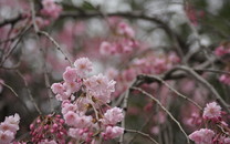 《毀滅戰士：永恒》新彩蛋發現