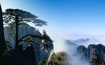 盤點體壇金豬寶寶：劉翔林丹閃耀