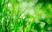 豬豬俠之競球小英雄2突破瓶頸，開發(fā)新想法豬豬俠的球星成長之路