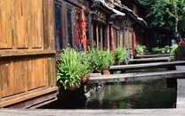 全球病例破66萬，美17地進入“重大災(zāi)難”狀態(tài)