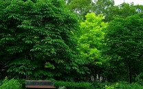 剛復(fù)工就上演換角修羅場(chǎng)
