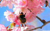 如何快速俘獲男神芳心？