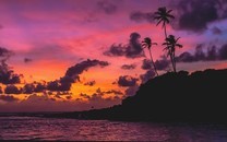 國家最新重大開放措施釋放哪些重要信號(hào)?專家回應(yīng)