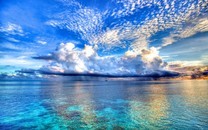 這6種狗狗身體素質(zhì)好，不易生病還好喂養(yǎng)，養(yǎng)它們會省很多事！