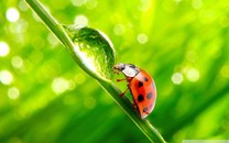 網(wǎng)易公布2019年第三季度財報