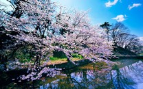 天津市長(zhǎng)去了房產(chǎn)國企:這里利益關(guān)系盤根錯(cuò)節(jié) 要改革