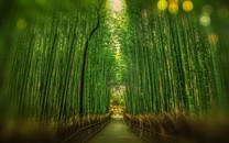 菩提為何狠心將孫悟空趕出師門？生死簿上有答案！