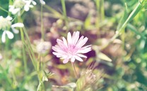 西山上品灣MOMΛ | 城市淺山區(qū)的全齡科技華宅
