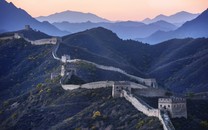 這是讓妻子活著的唯一方法？丈夫心動(dòng)了