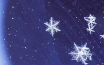 一4歲女童頸部插入鉛筆