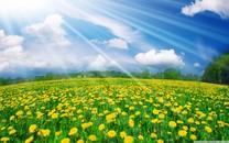 消息稱OPPO取消員工各項(xiàng)福利 商業(yè)保險(xiǎn)、旅游都沒了