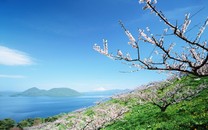 勞動最光榮：快來看幾種傳統農具的力學原理(圖)