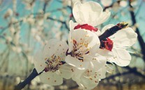 易經(jīng)隱藏了中國人的什么秘密